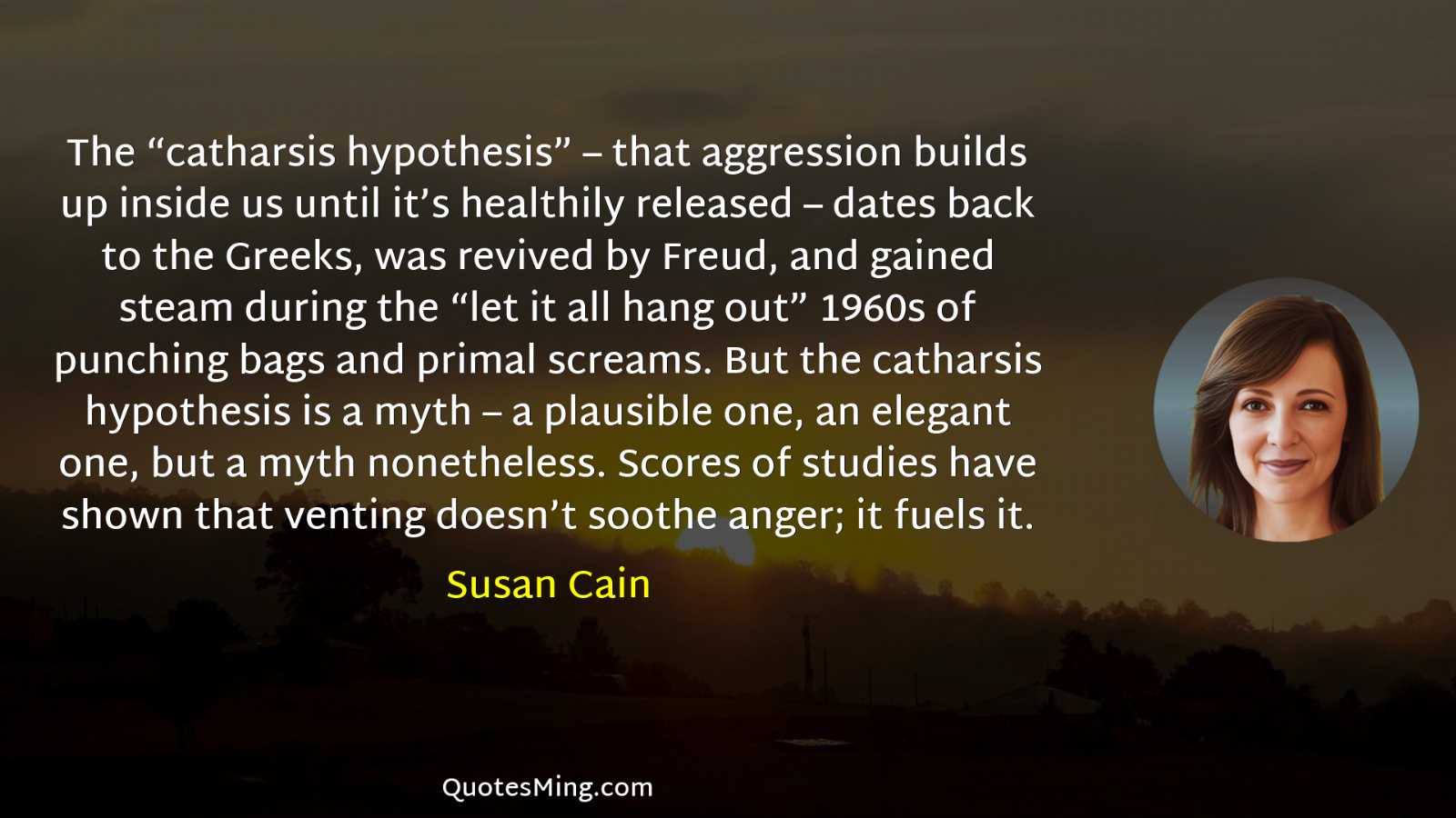 The “catharsis hypothesis” – that aggression builds up inside us