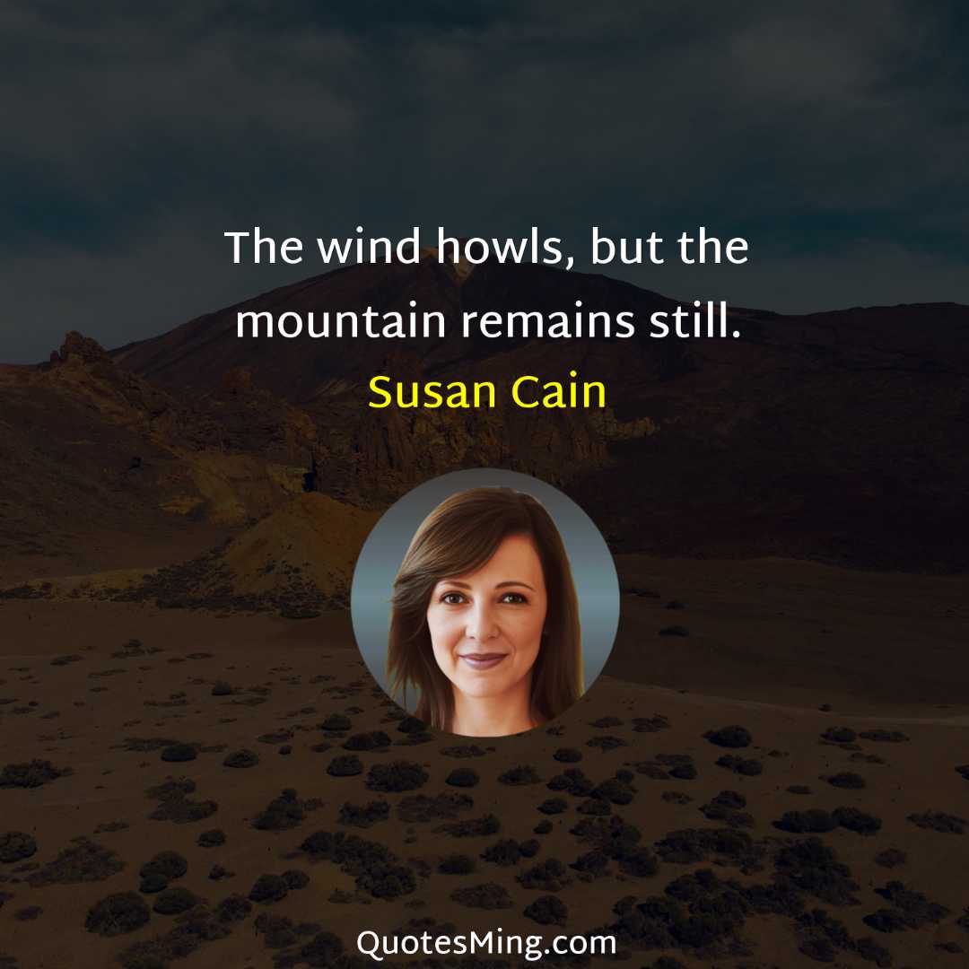 The wind howls but the mountain remains still