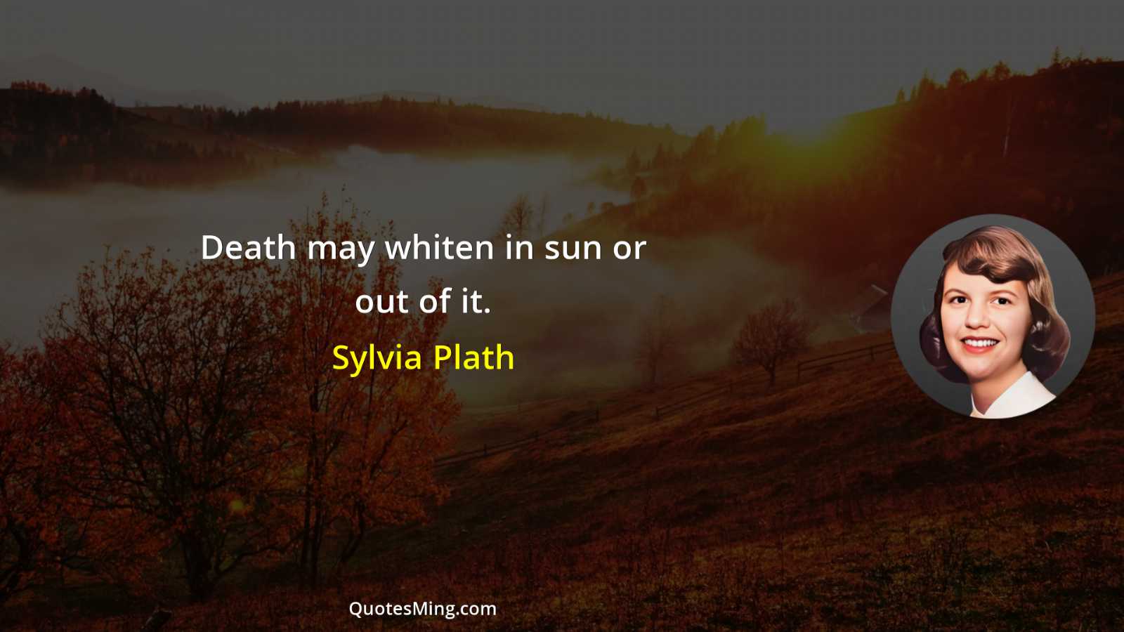 Death may whiten in sun or out of it