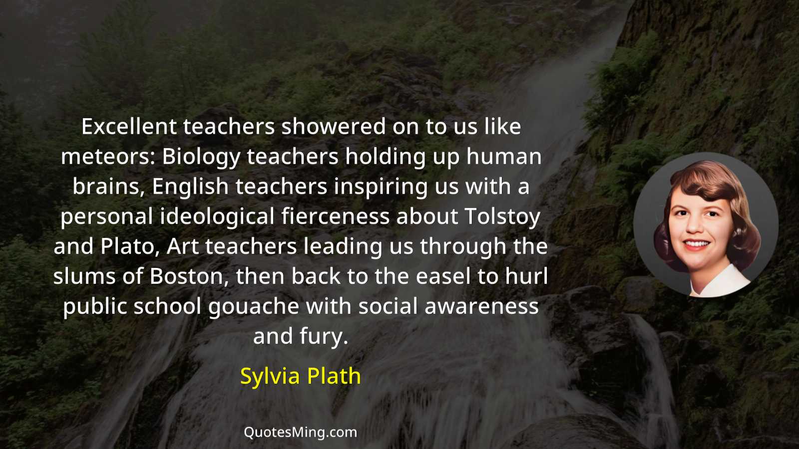 Excellent teachers showered on to us like meteors: Biology teachers