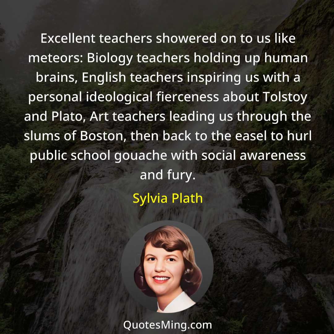 Excellent teachers showered on to us like meteors: Biology teachers