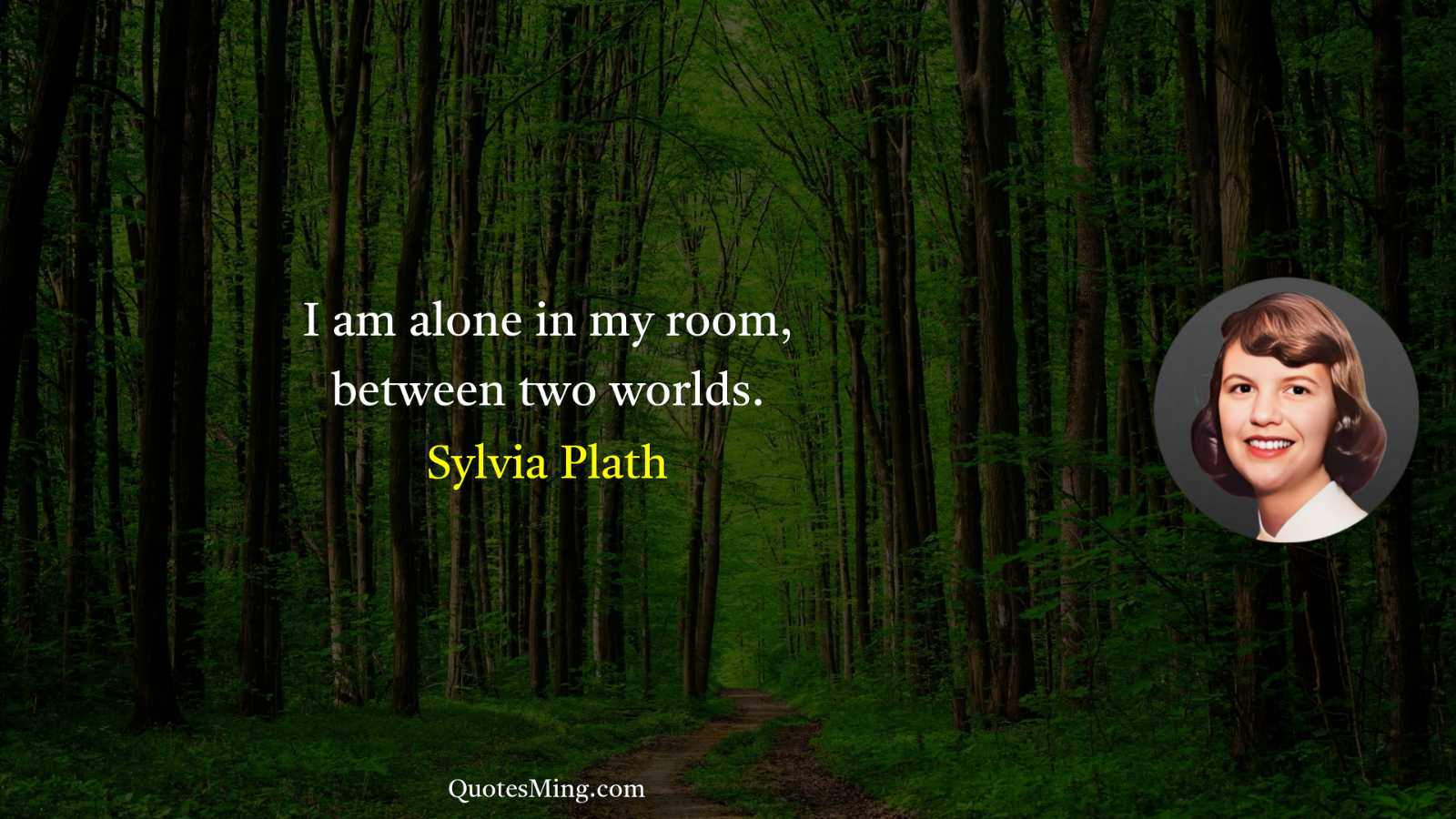 I am alone in my room between two worlds