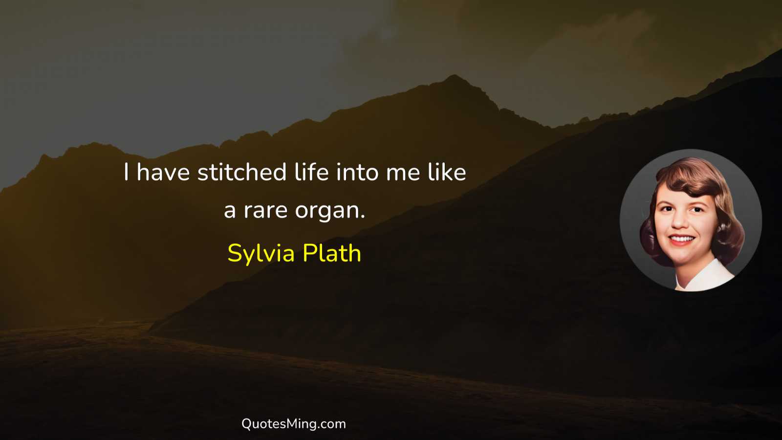 I have stitched life into me like a rare organ