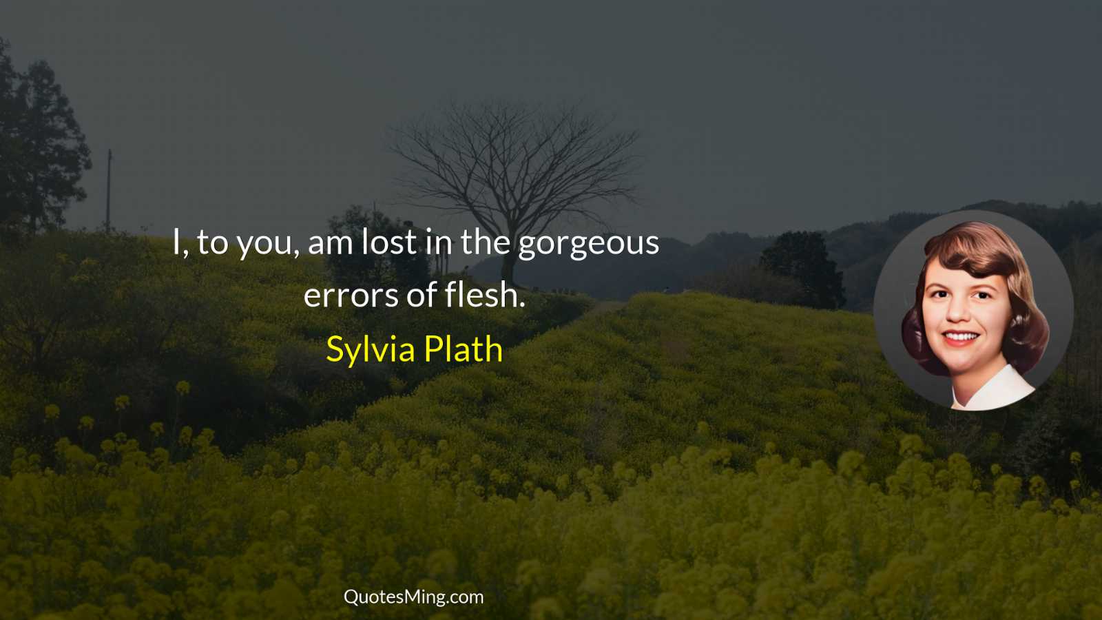 I to you am lost in the gorgeous errors of