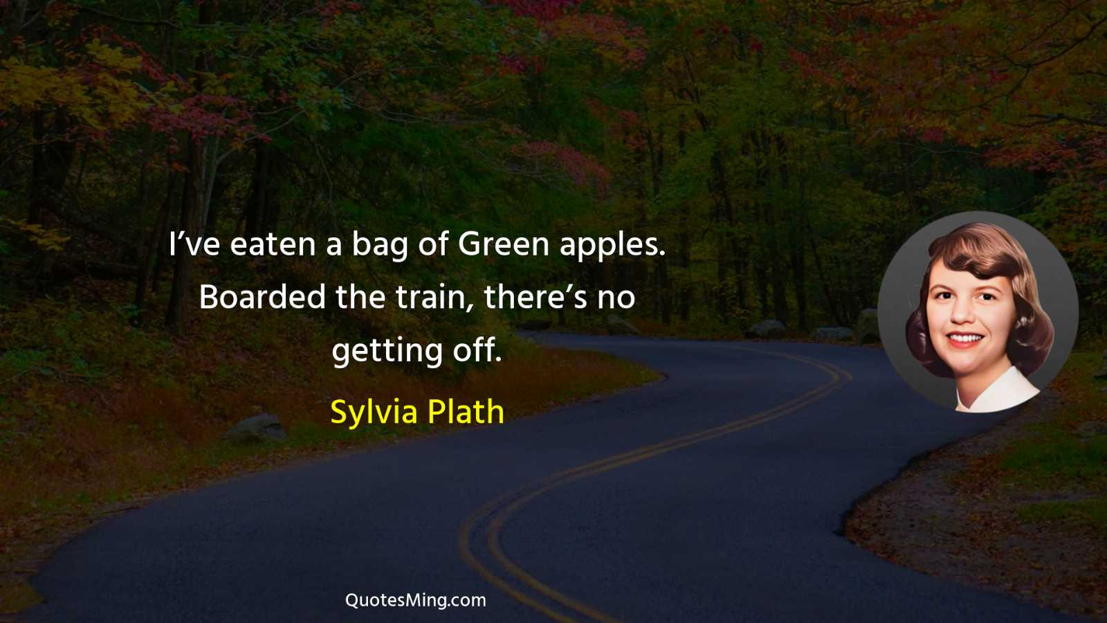 I’ve eaten a bag of Green apples Boarded the train