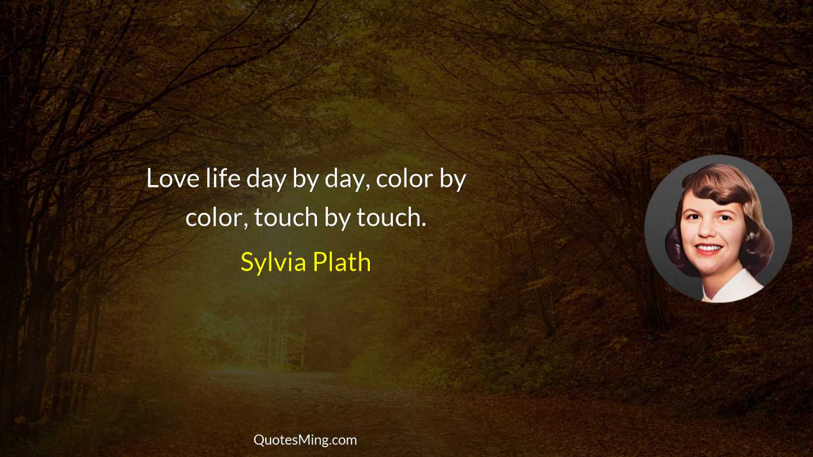 Love life day by day color by color touch by