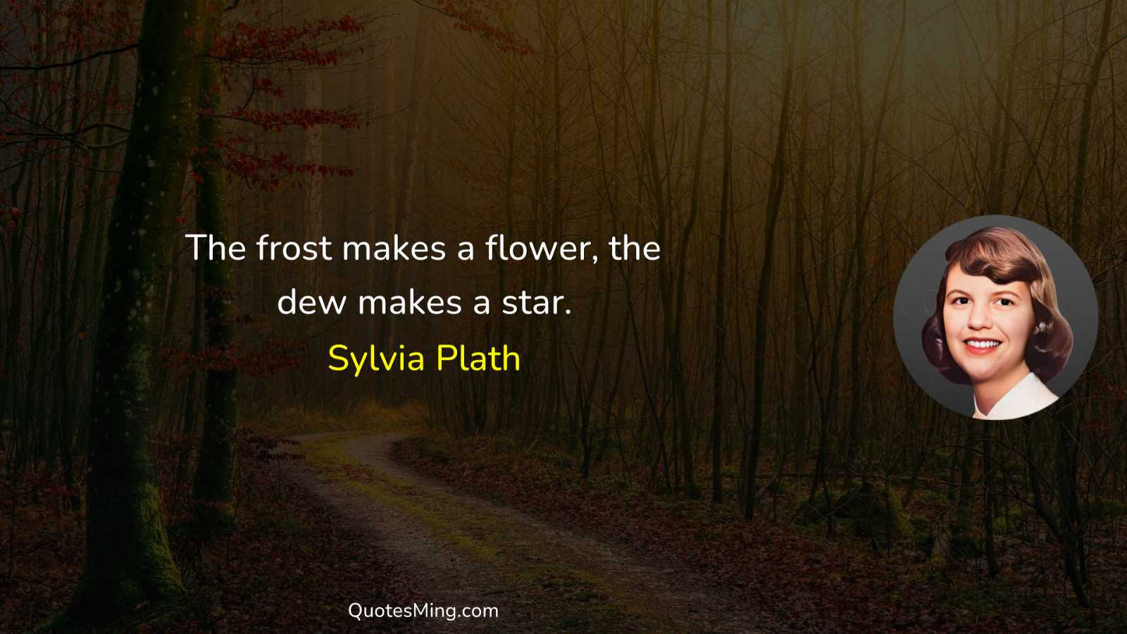 The frost makes a flower the dew makes a star