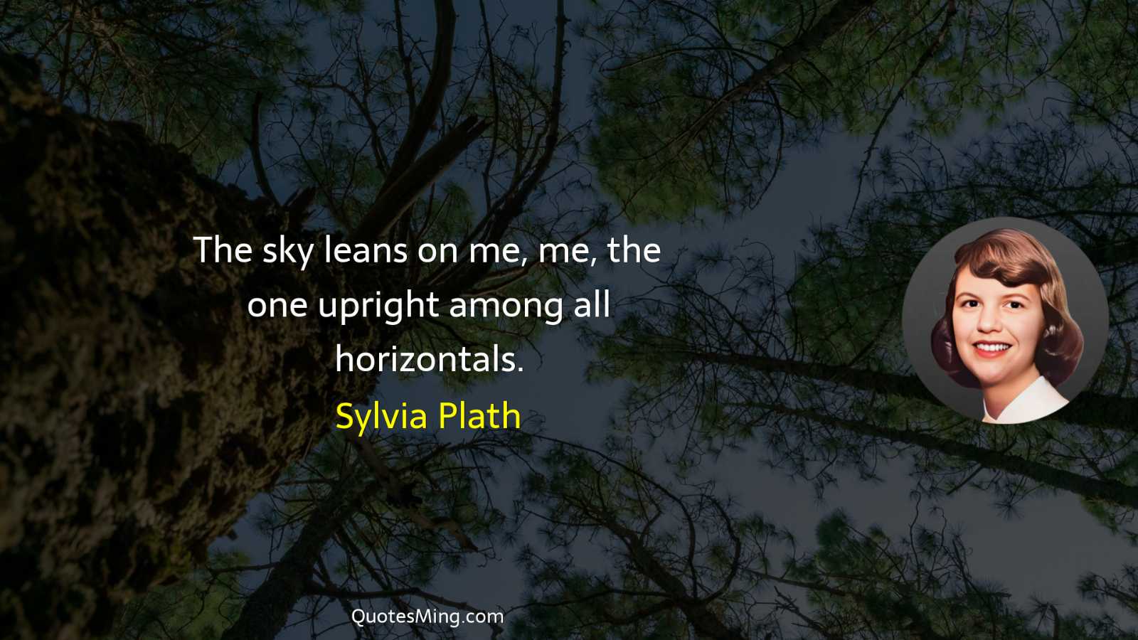 The sky leans on me me the one upright among