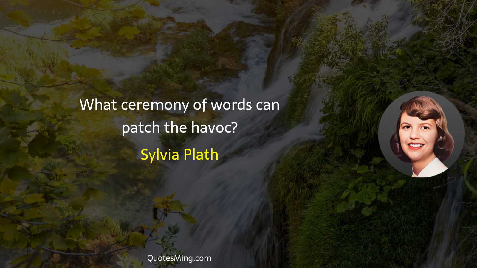 What ceremony of words can patch the havoc?