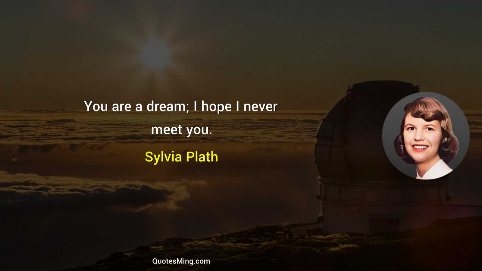 You are a dream; I hope I never meet you