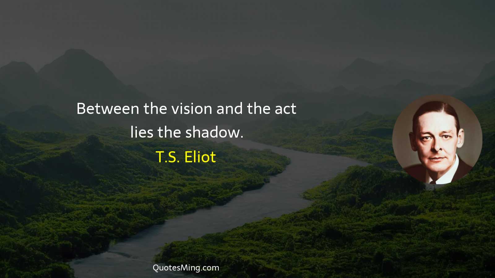 Between the vision and the act lies the shadow