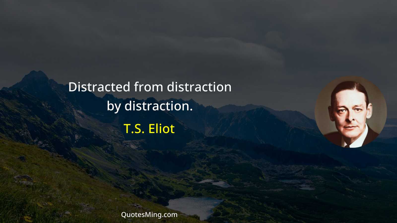 Distracted from distraction by distraction