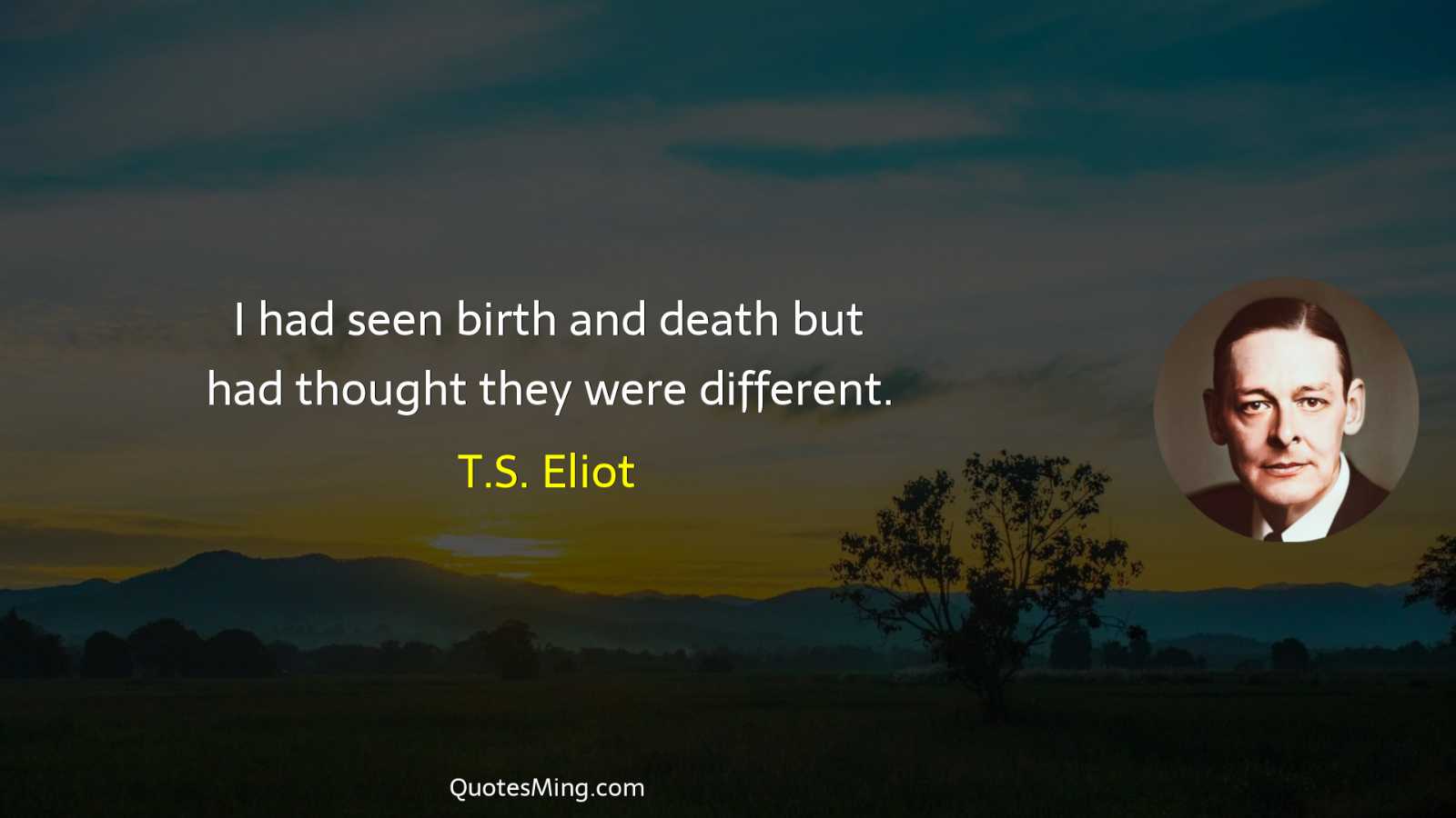 I had seen birth and death but had thought they