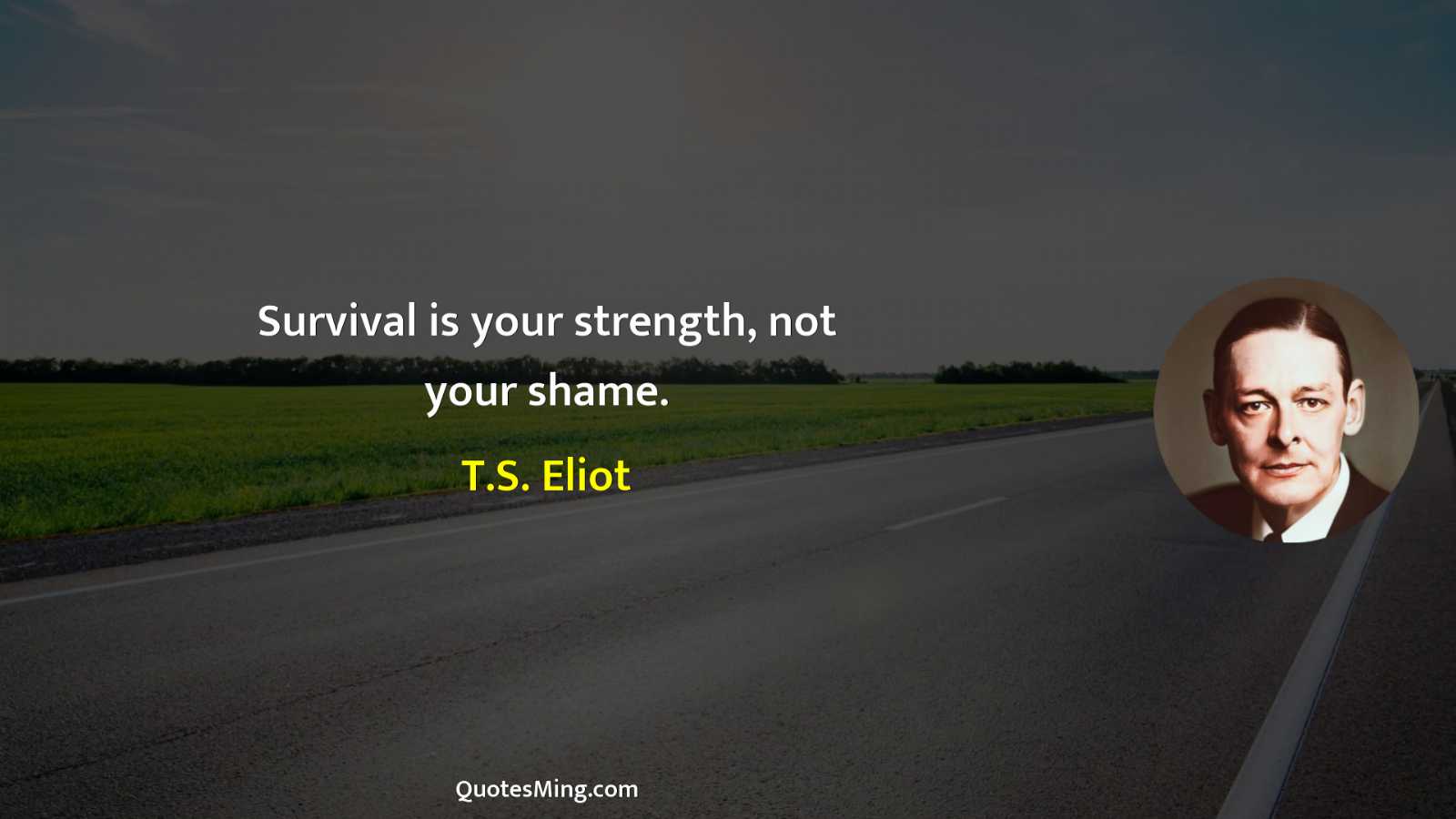 Survival is your strength not your shame