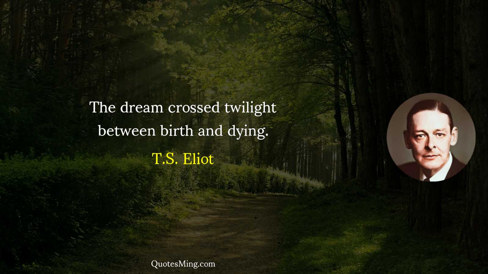 The dream crossed twilight between birth and dying