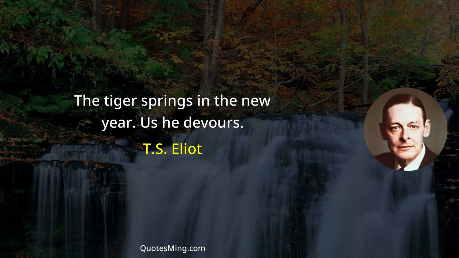 The tiger springs in the new year Us he devours