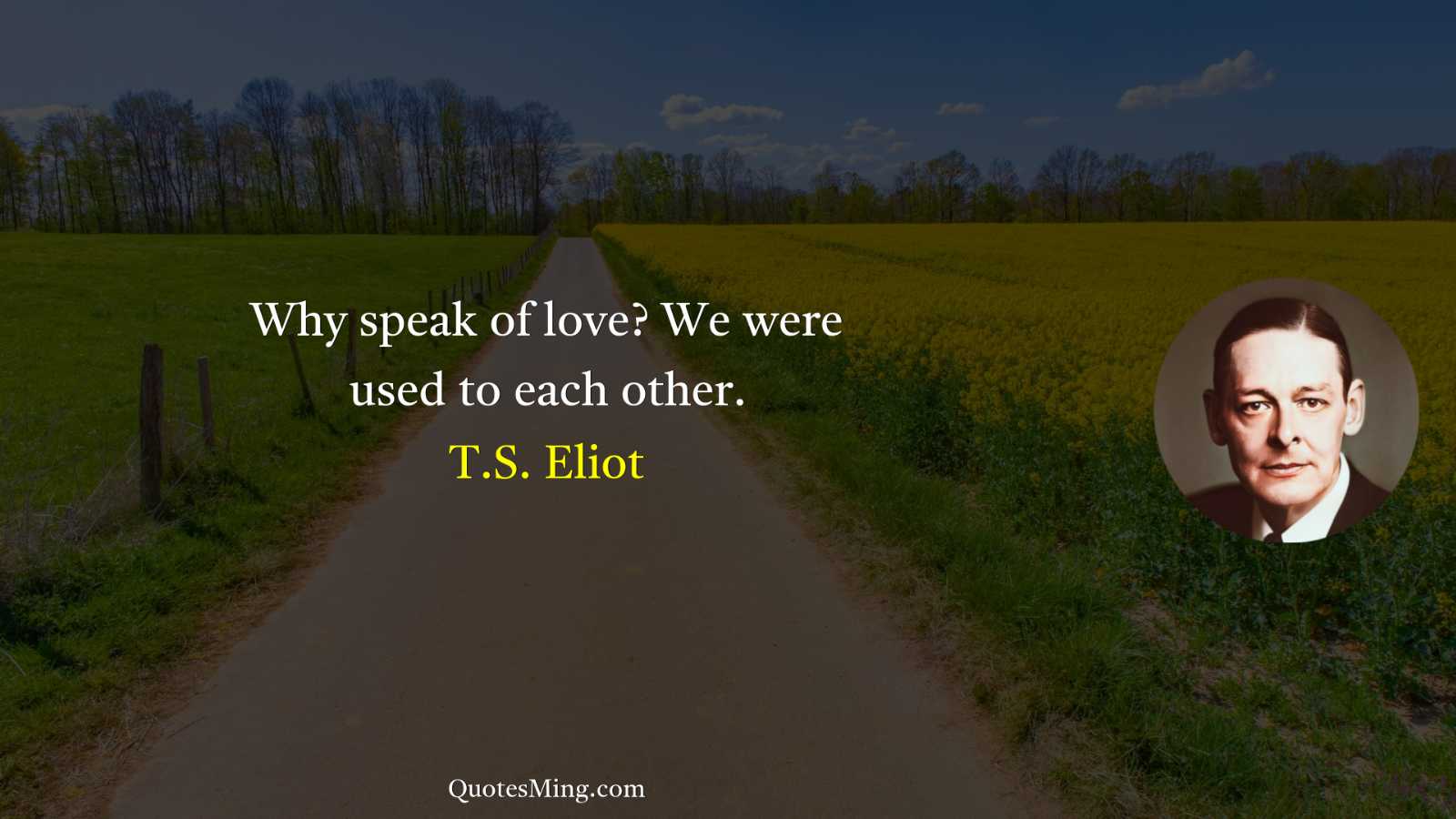 Why speak of love? We were used to each other