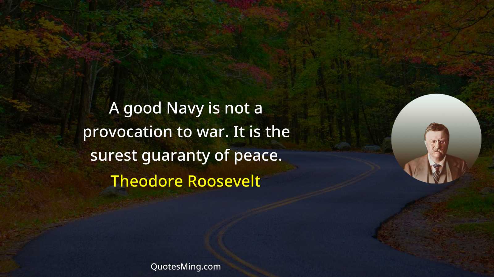 A good Navy is not a provocation to war It