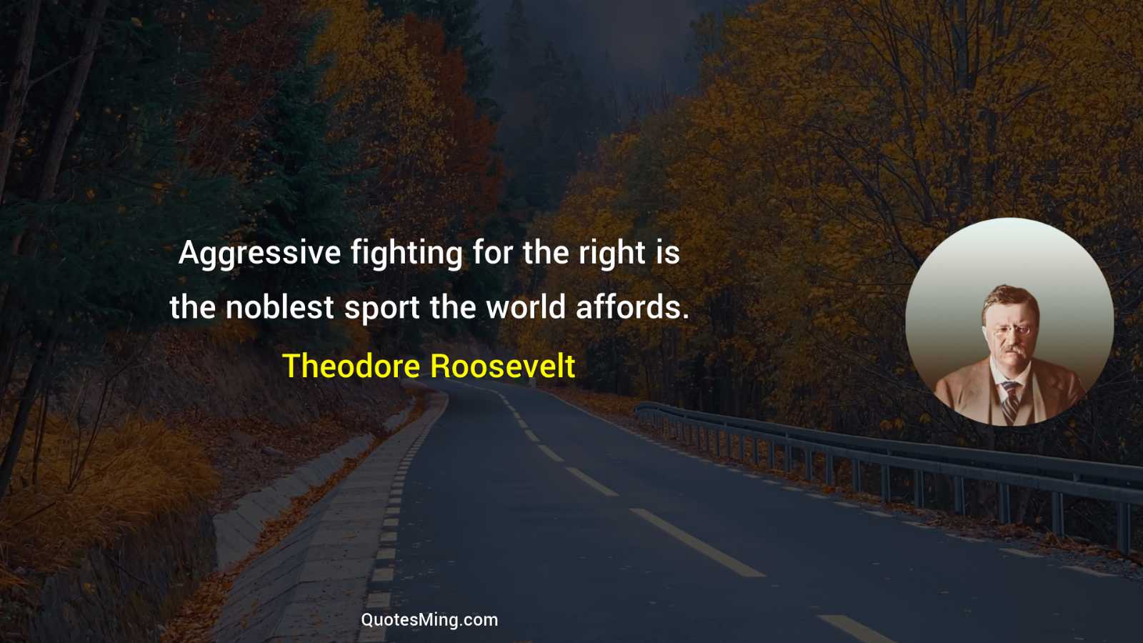 Aggressive fighting for the right is the noblest sport the