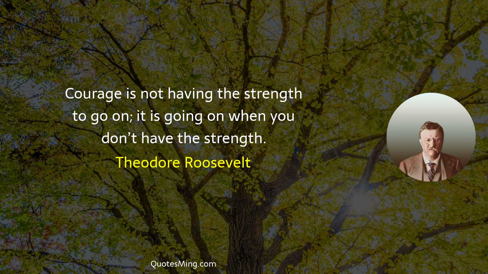 Courage is not having the strength to go on; it