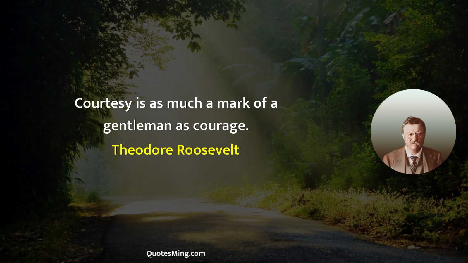 Courtesy is as much a mark of a gentleman as