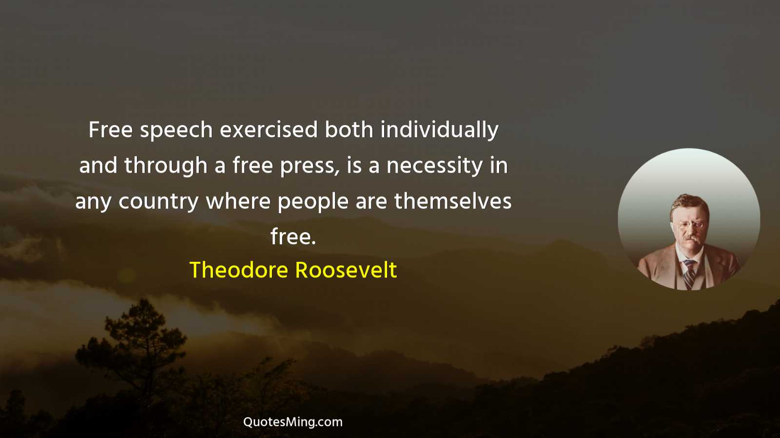 Free speech exercised both individually and through a free press