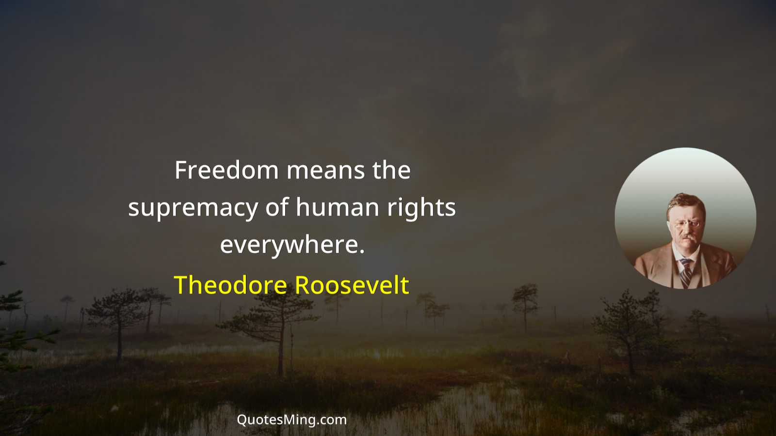 Freedom means the supremacy of human rights everywhere