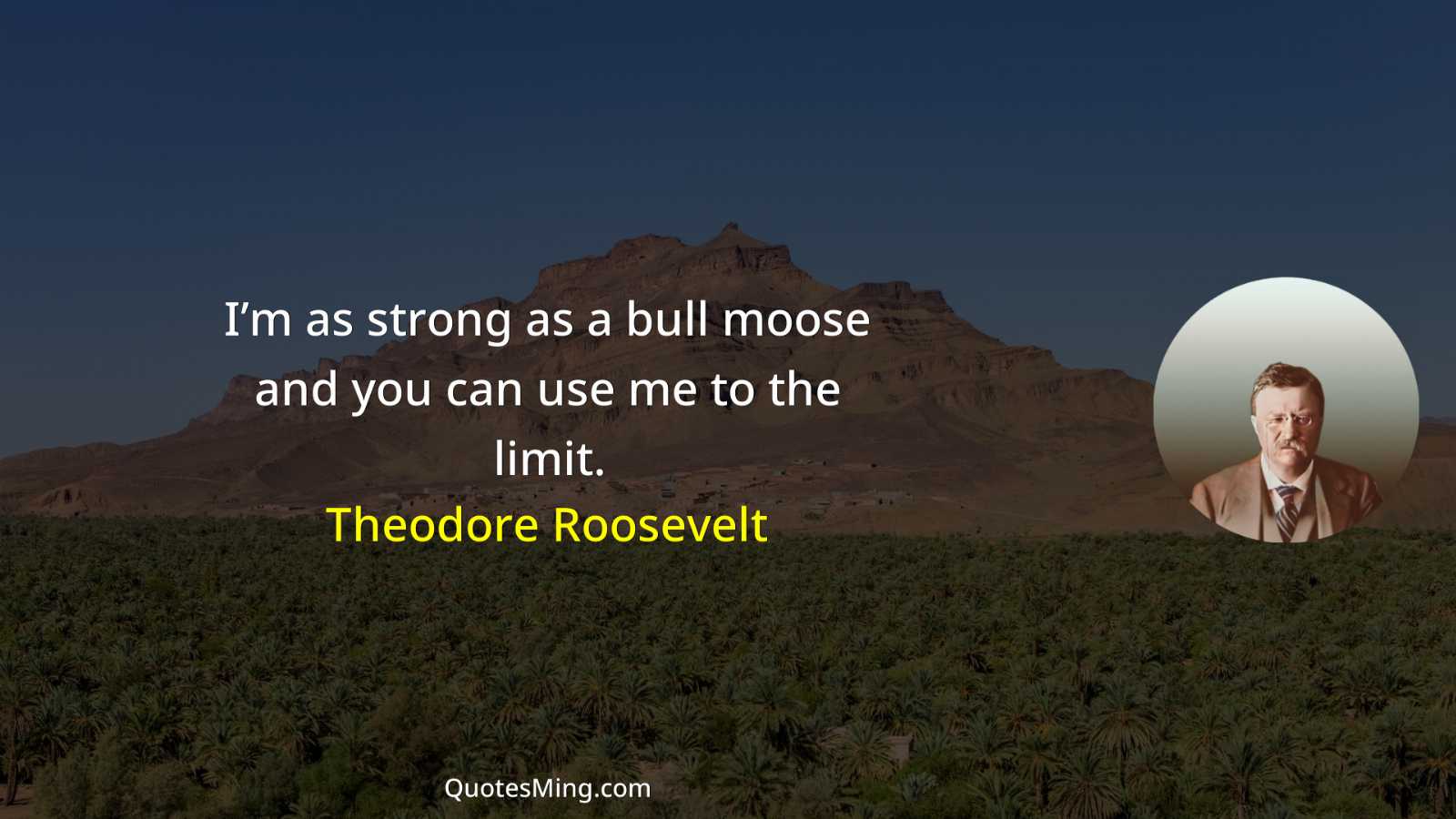 I’m as strong as a bull moose and you can