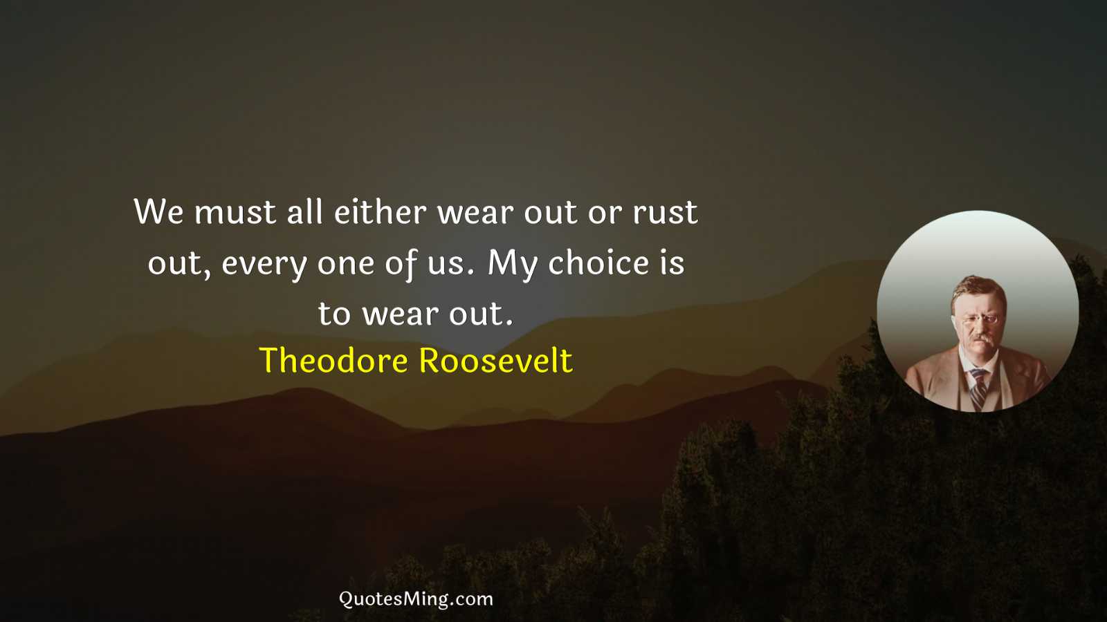 We must all either wear out or rust out every