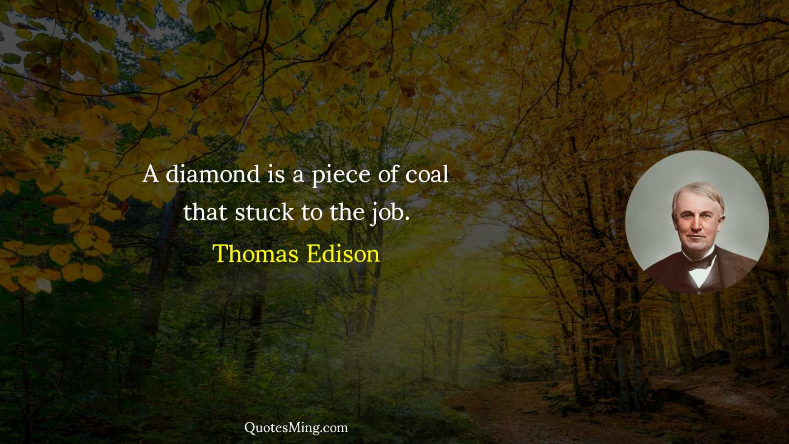 A diamond is a piece of coal that stuck to