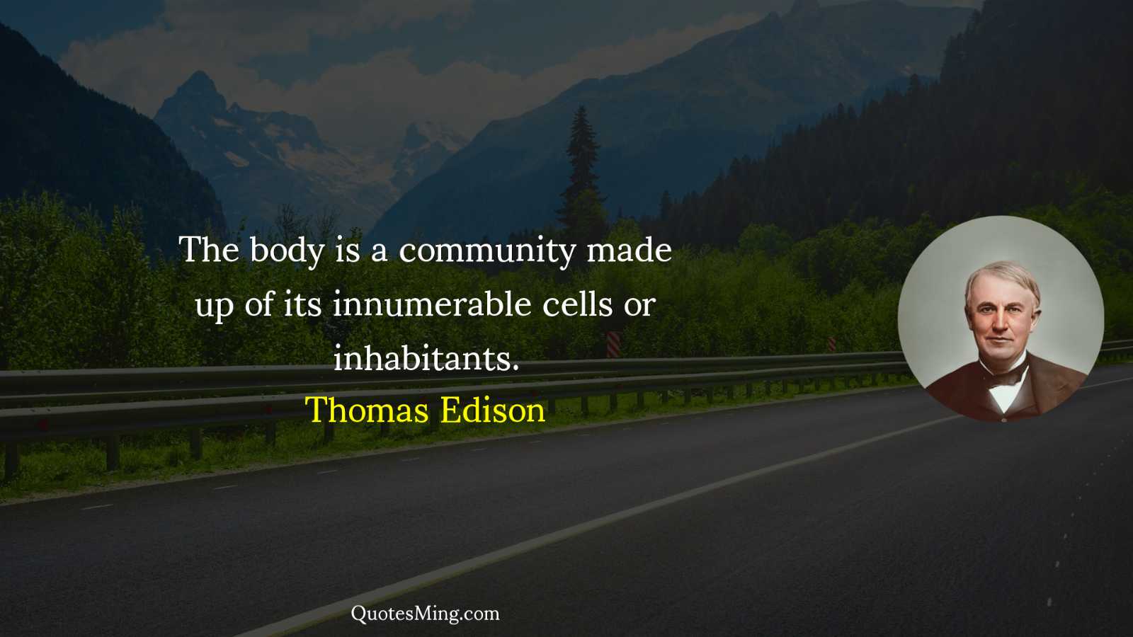 The body is a community made up of its innumerable