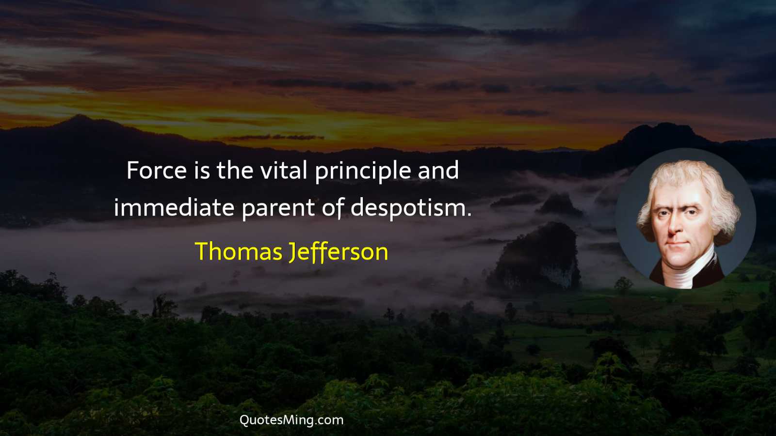 Force is the vital principle and immediate parent of despotism