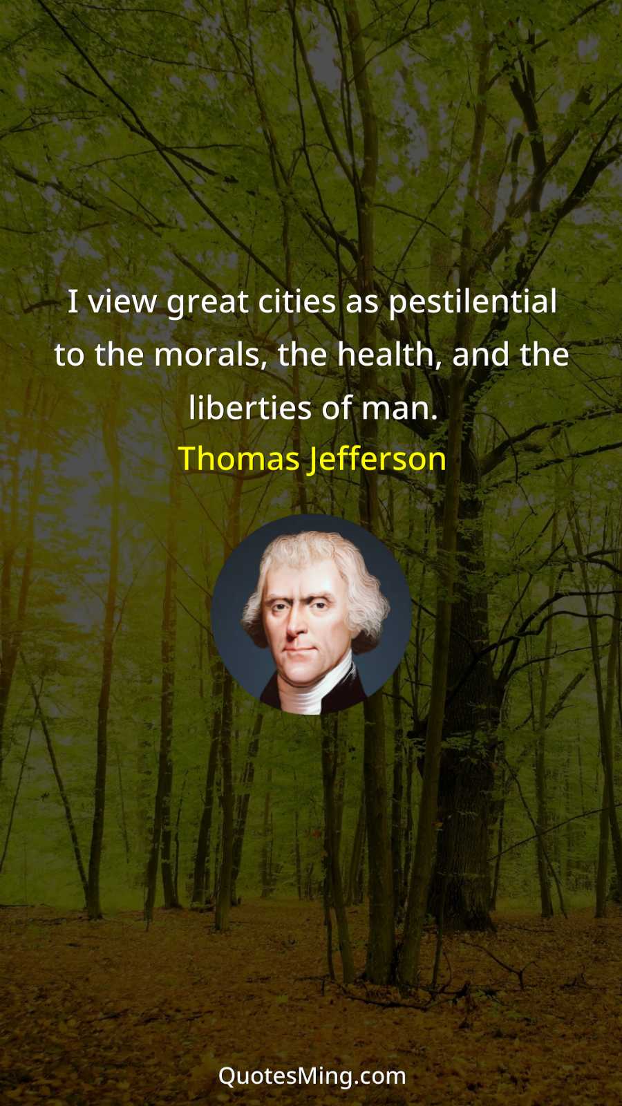 I view great cities as pestilential to the morals the