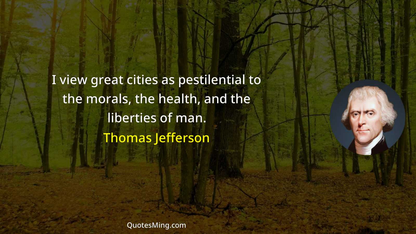 I view great cities as pestilential to the morals the