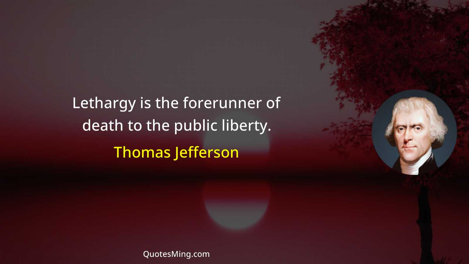 Lethargy is the forerunner of death to the public liberty