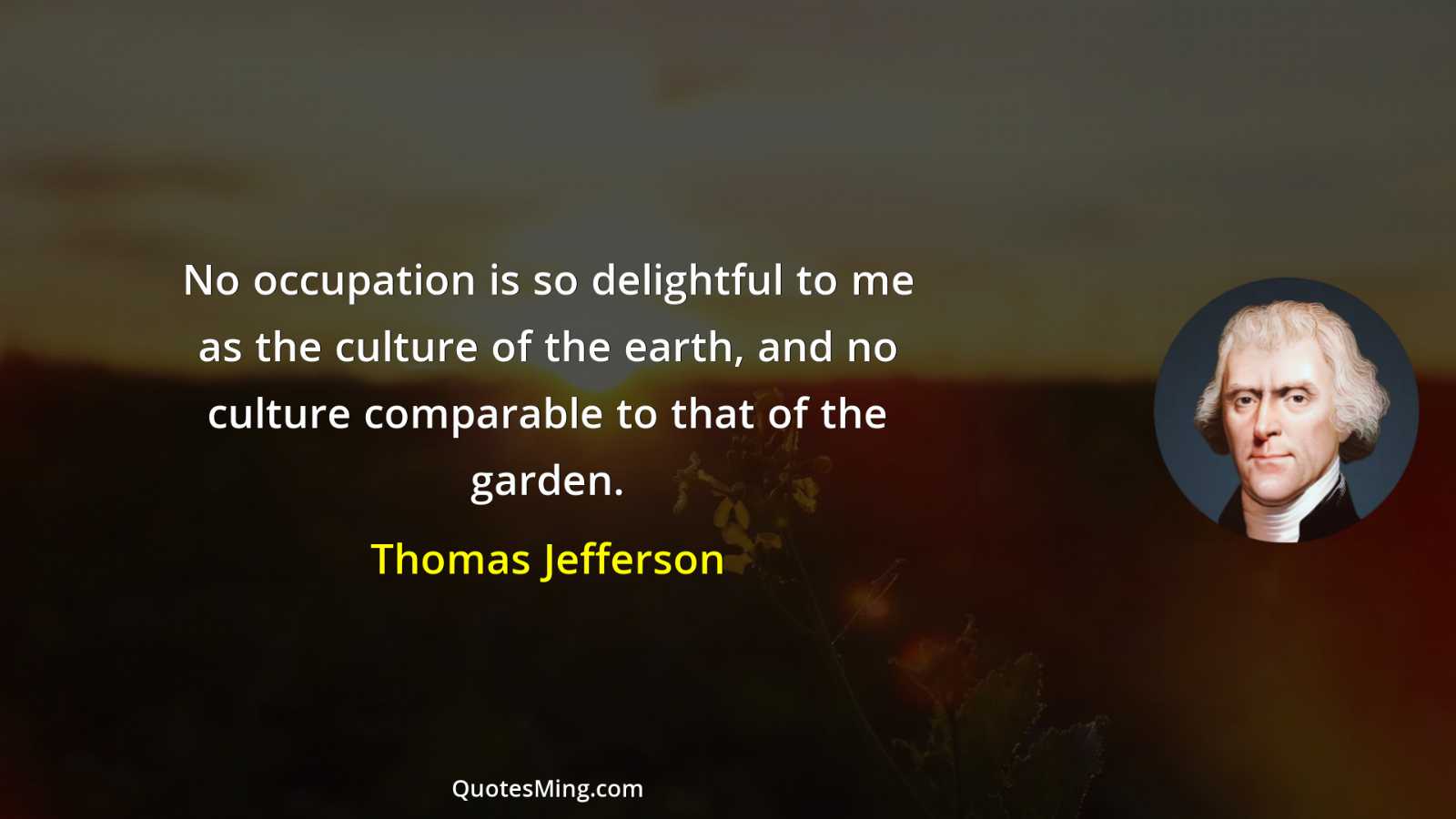 No occupation is so delightful to me as the culture