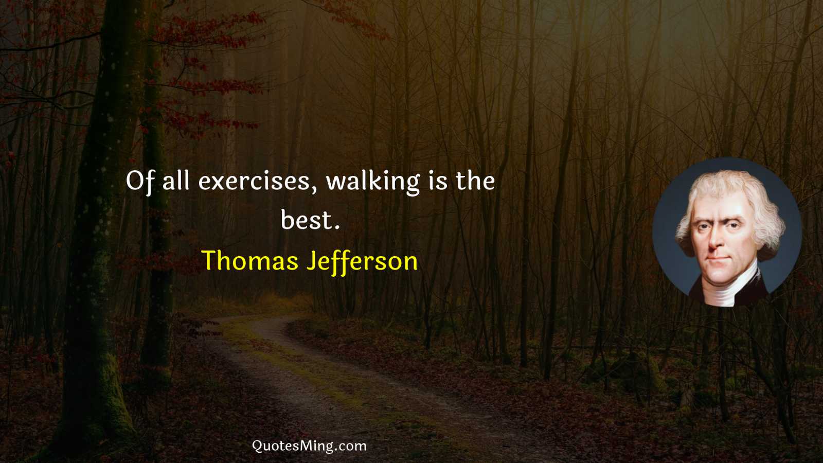 Of all exercises walking is the best