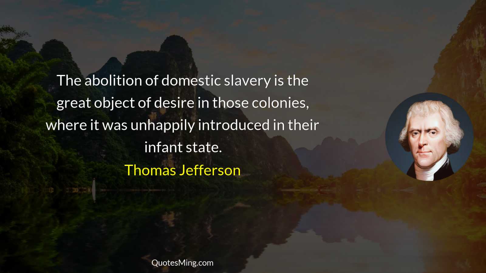 The abolition of domestic slavery is the great object of