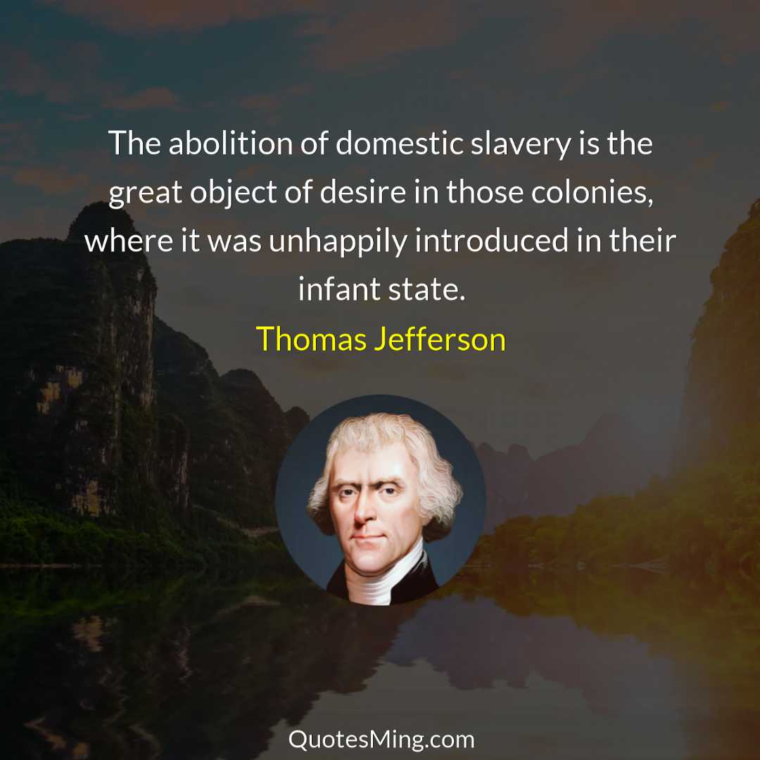 The abolition of domestic slavery is the great object of