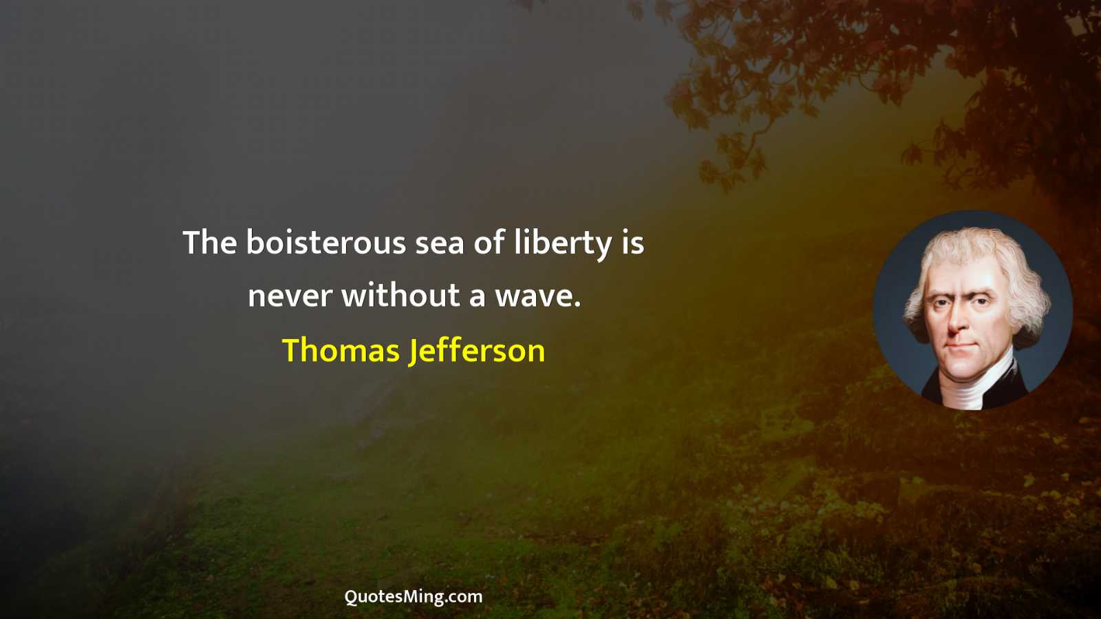 The boisterous sea of liberty is never without a wave