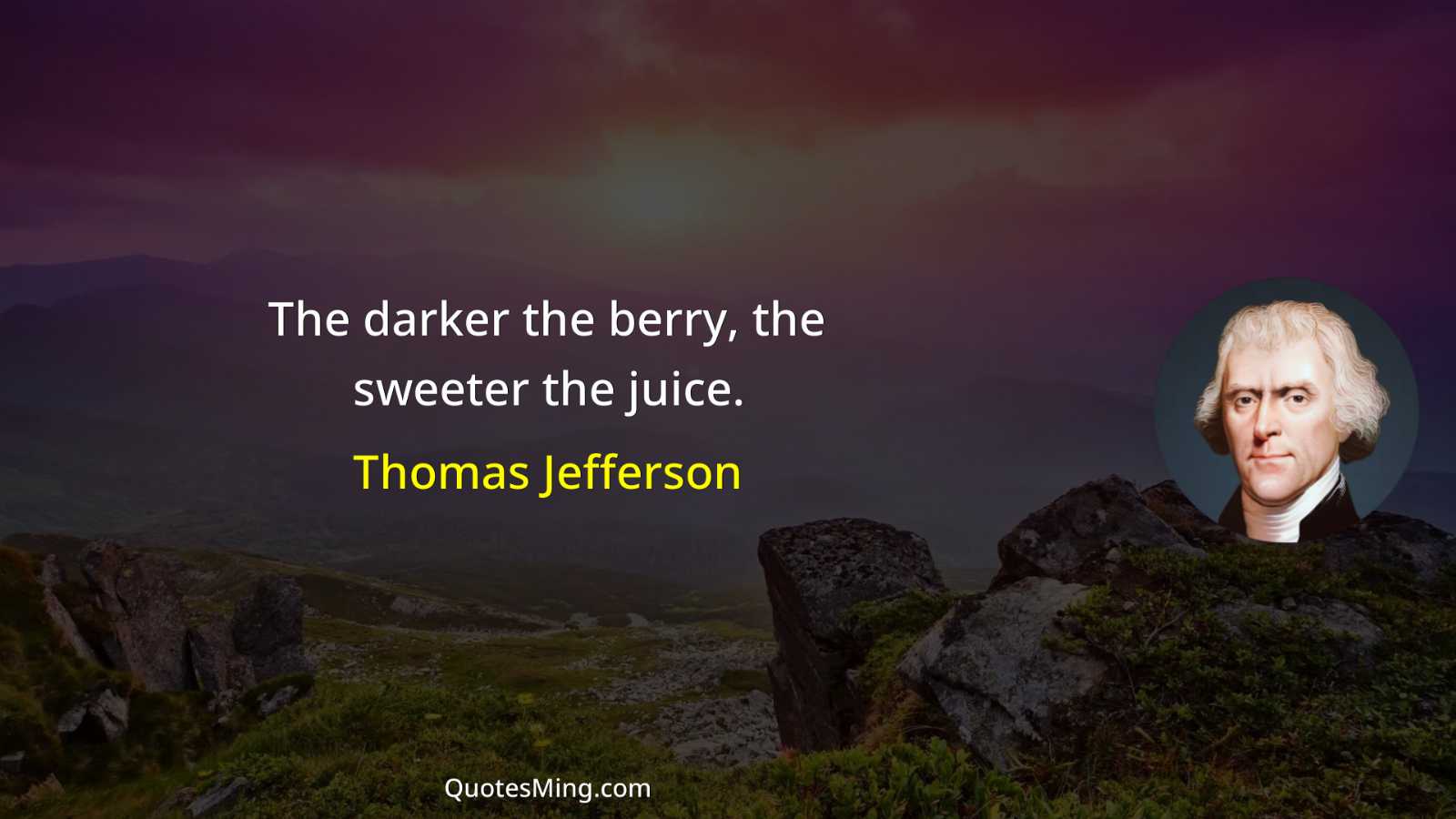 The darker the berry the sweeter the juice