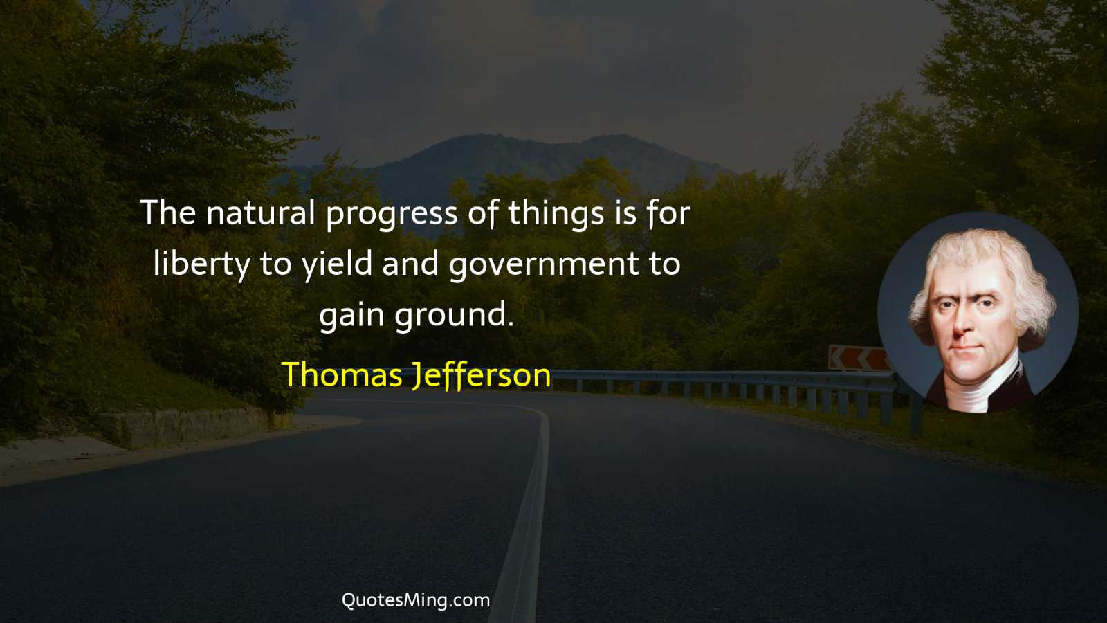 The natural progress of things is for liberty to yield