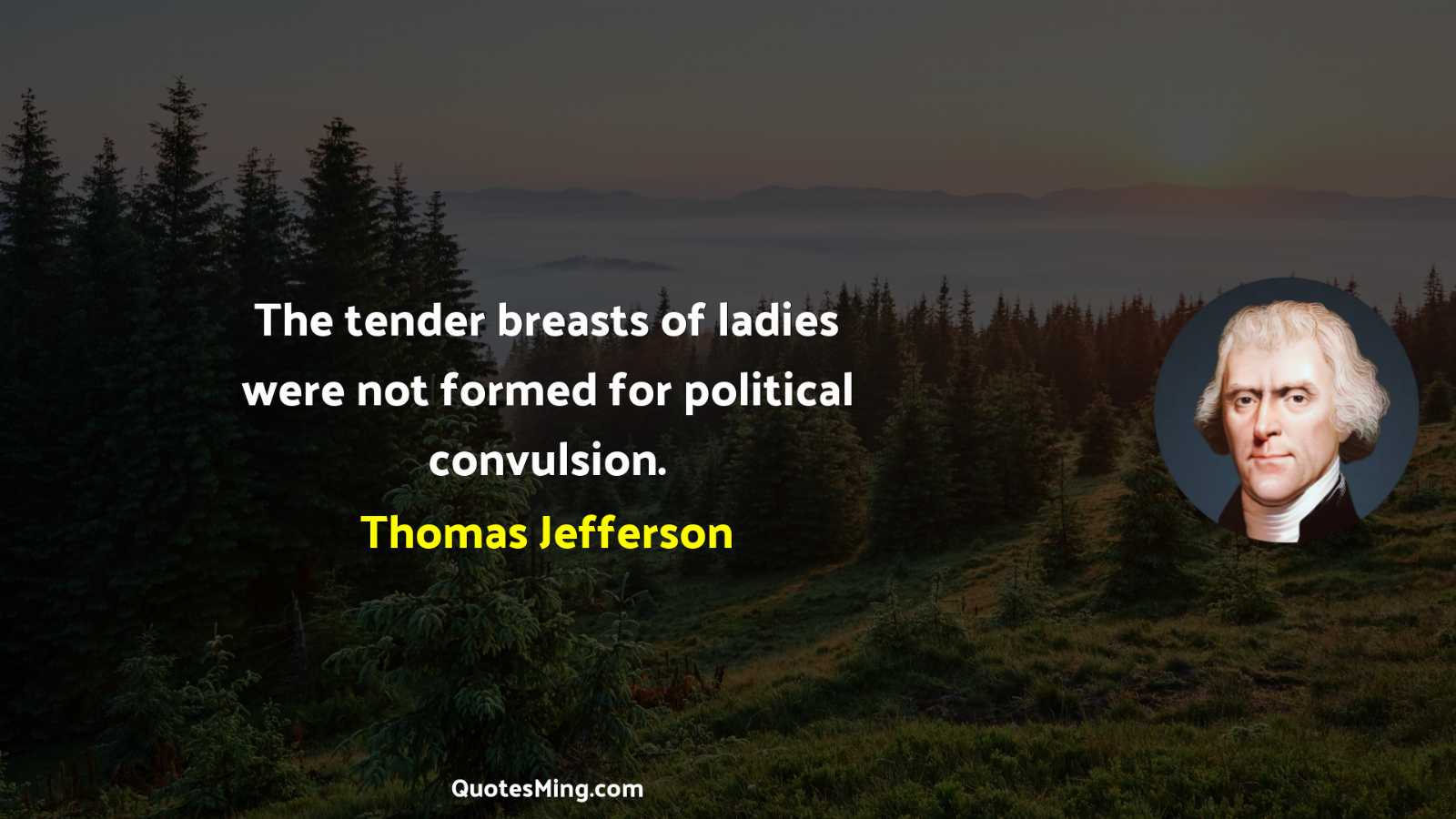 The tender breasts of ladies were not formed for political