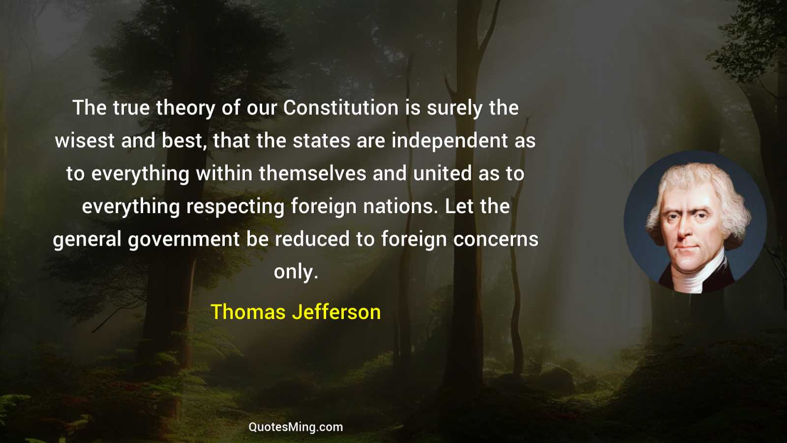 The true theory of our Constitution is surely the wisest