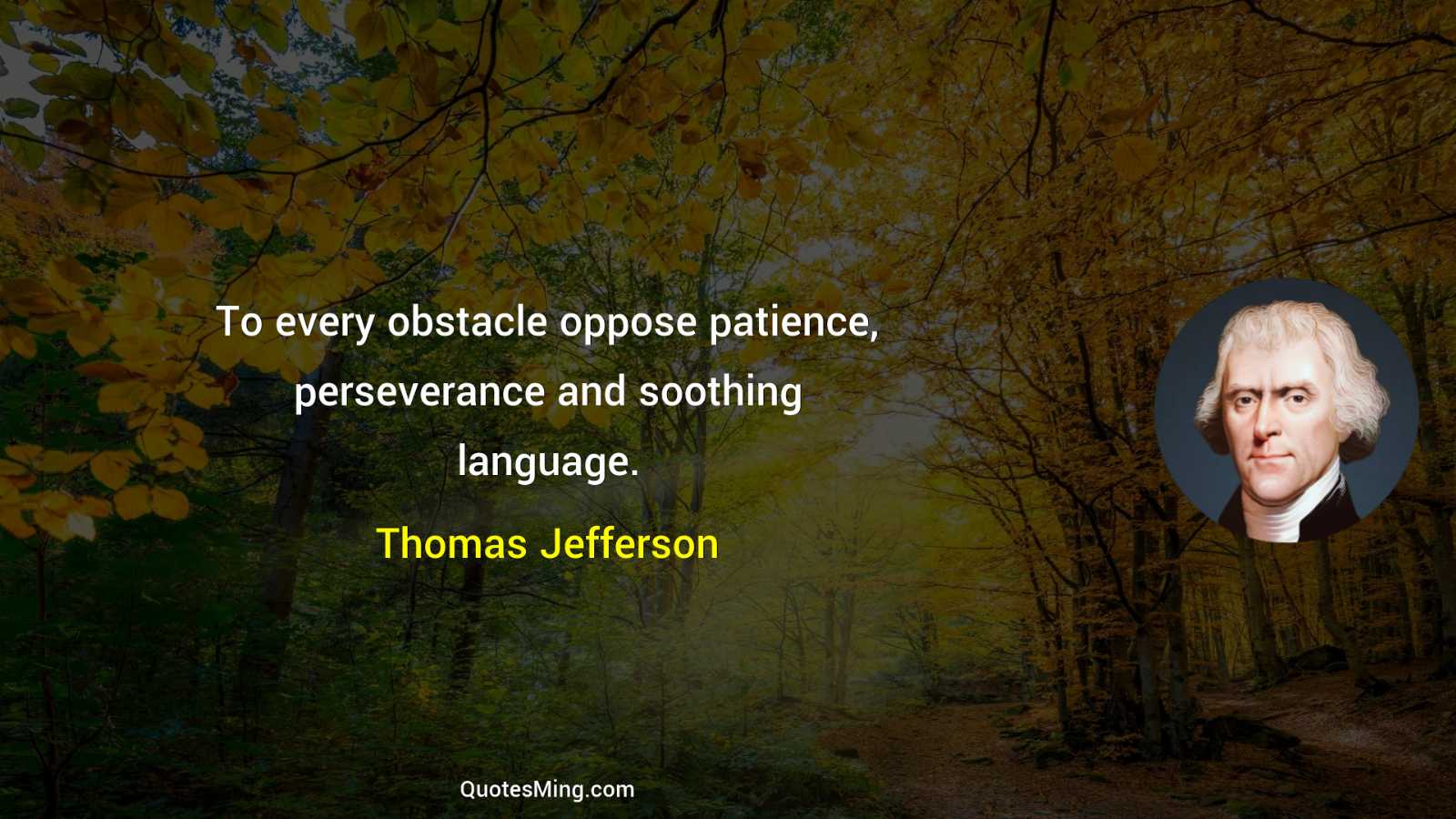 To every obstacle oppose patience perseverance and soothing language