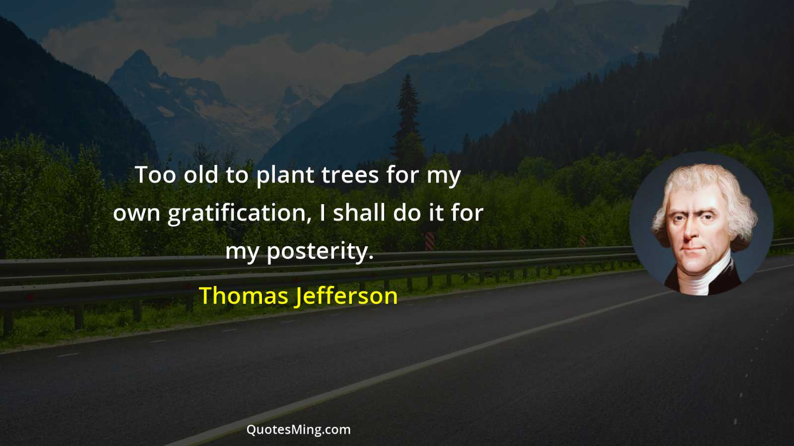 Too old to plant trees for my own gratification I