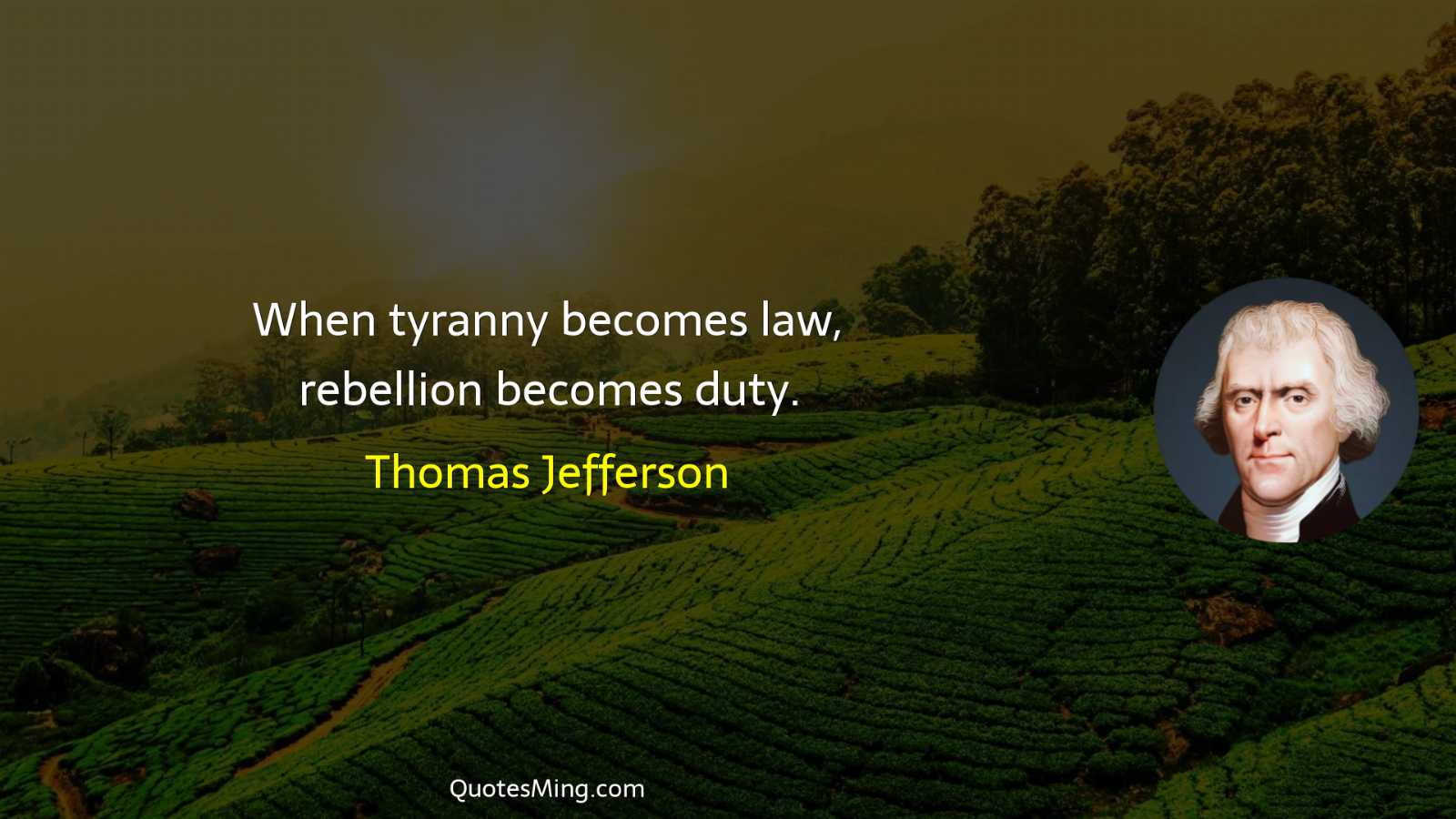 When tyranny becomes law rebellion becomes duty