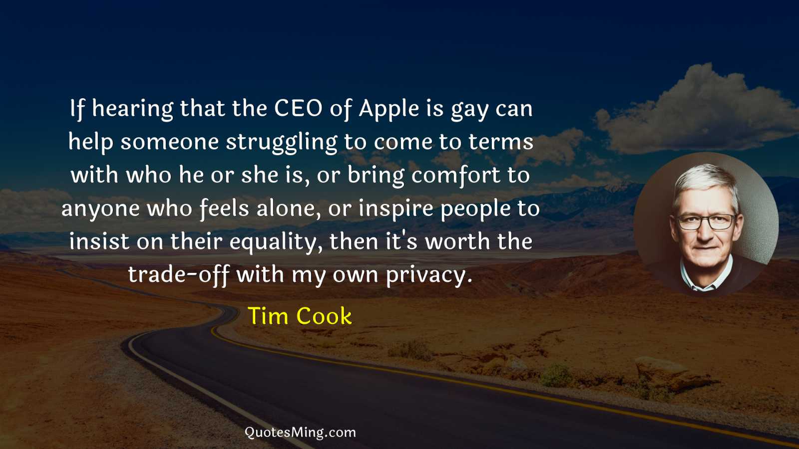 If hearing that the CEO of Apple is gay can