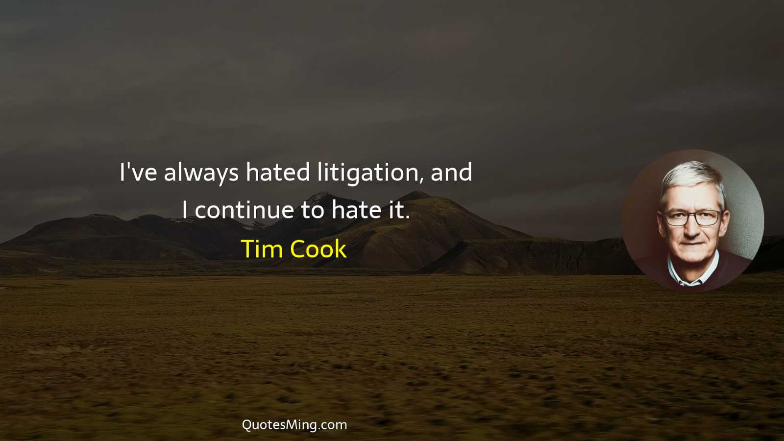 I've always hated litigation and I continue to hate it