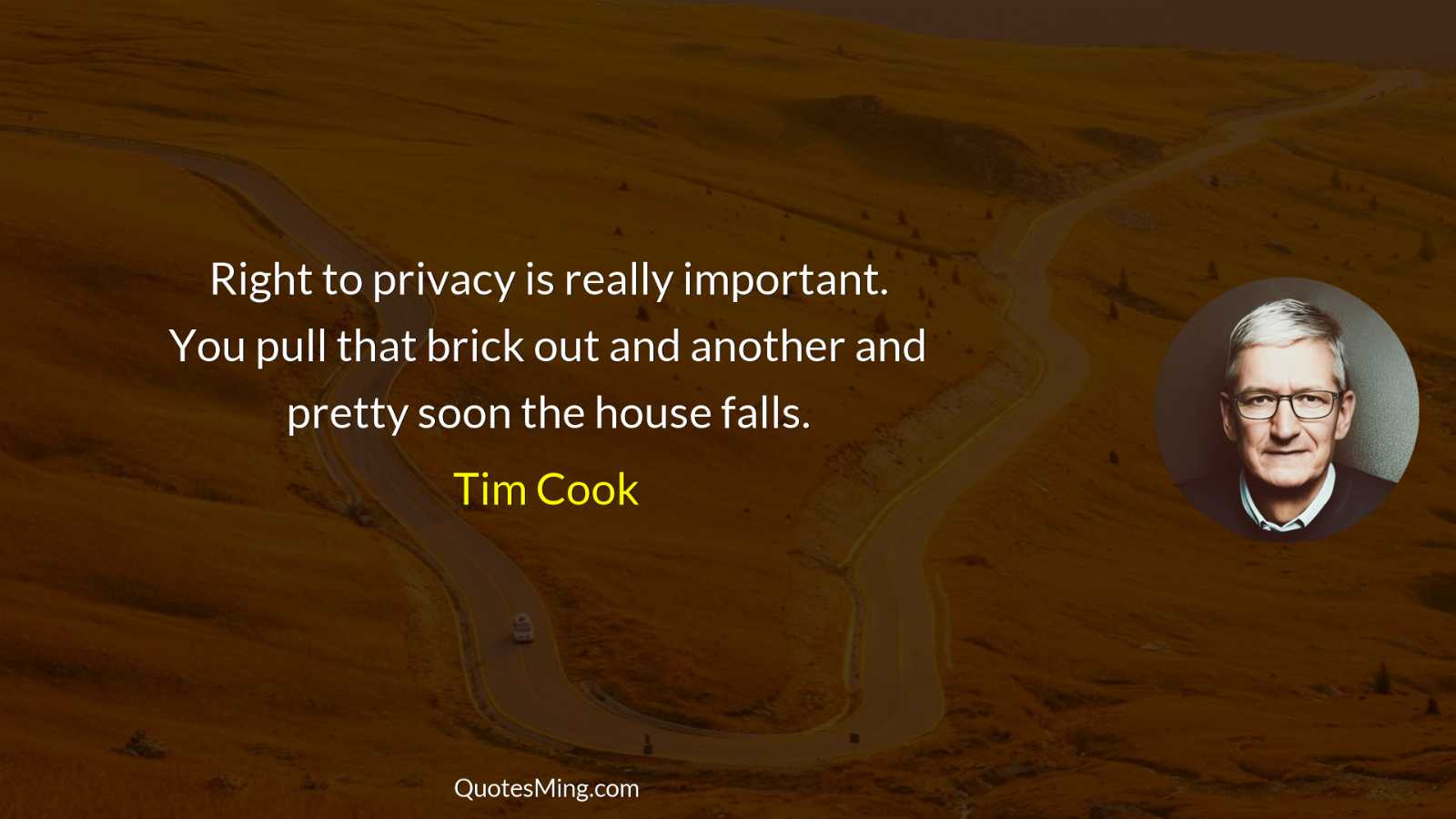 Right to privacy is really important You pull that brick